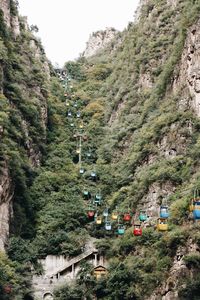 High angle view of trees on mountain