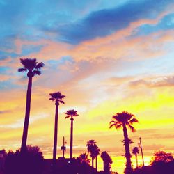 Low angle view of silhouette palm trees against scenic sky