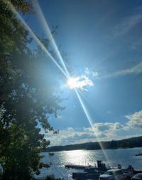 Sunlight streaming through trees against sky on sunny day