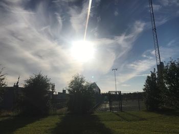 Trees against sky