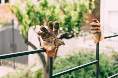 Close-up of sculpture on railing