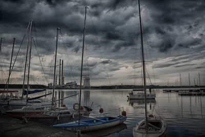 Sailboats moored in harbor