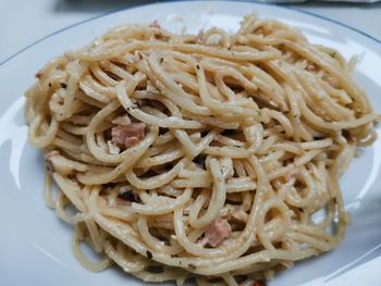 Close-up of pasta in plate