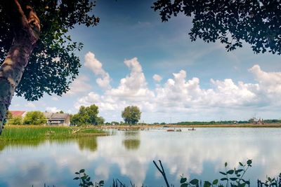 Scenic view of lake by trees against sky