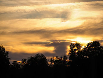 Low angle view of silhouette trees against orange sky