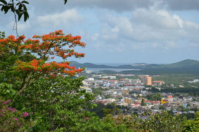 Trees and townscape against sky