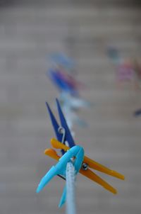 Close-up of plant against blue sky