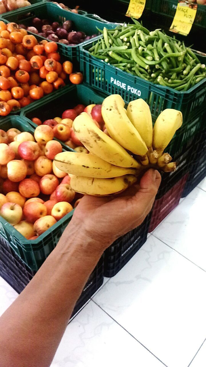 HIGH ANGLE VIEW OF HAND HOLDING FRUITS