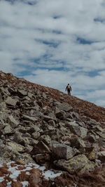 Low angle view of bird on rock against sky