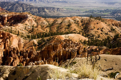 Scenic view of landscape