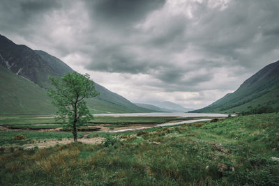 Scenic view of landscape against sky