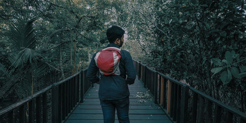 Rear view of man walking on footbridge in forest