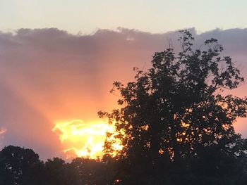 Silhouette tree against sky during sunset