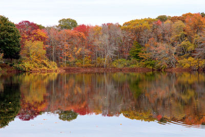 Reflection of trees in lake against sky