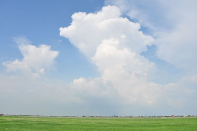 Scenic view of field against sky