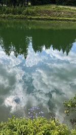 High angle view of lake amidst plants