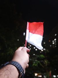 Midsection of person holding flag against trees