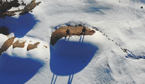 High angle view of snow on land