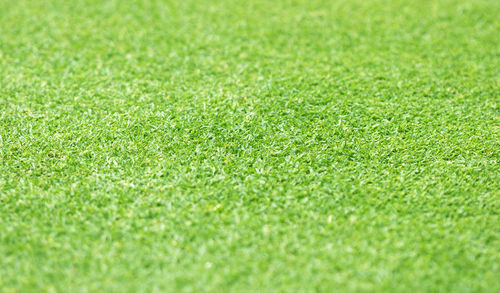 Full frame shot of soccer field