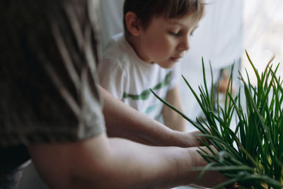 Close-up of boy holding plant