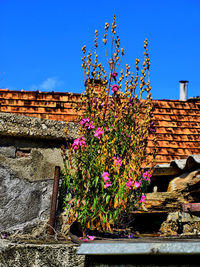 Low angle view of house against clear blue sky