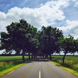 Empty road with trees in background