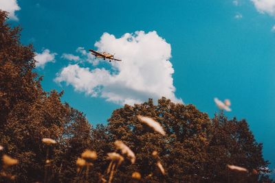 Low angle view of airplane flying in sky