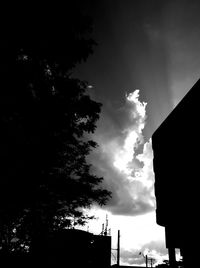 Low angle view of silhouette tree and building against sky