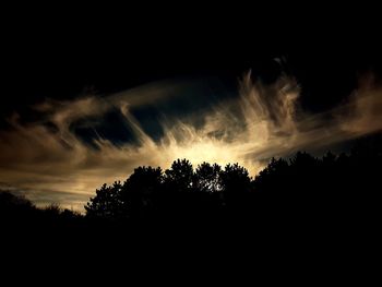 Low angle view of silhouette trees against sky at night