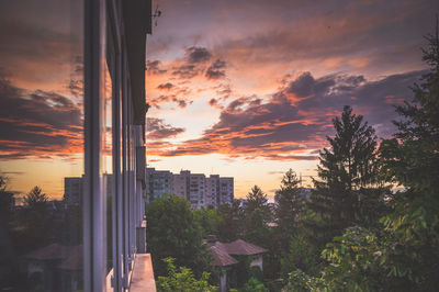 Trees and buildings against sky during sunset