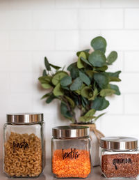 Close-up of potted plants in jar on table