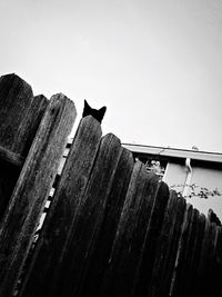 Low angle view of bird perching on roof