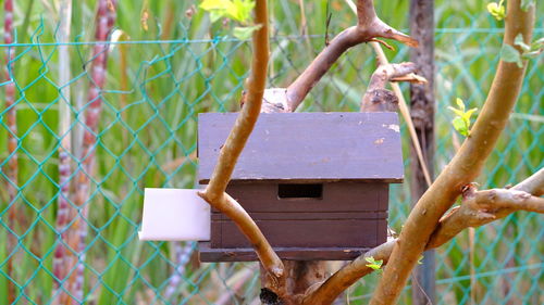 Close-up of birdhouse on fence