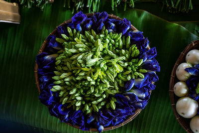 High angle view of purple flowering plant in container