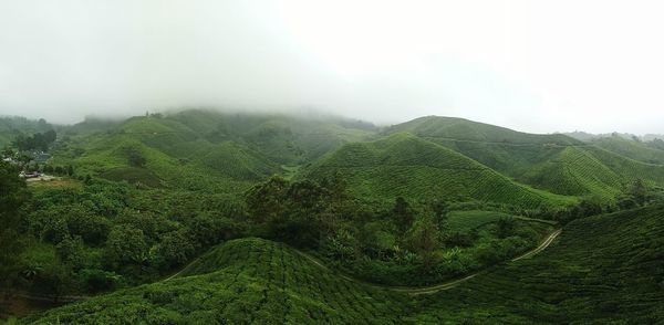 Scenic view of green landscape against sky