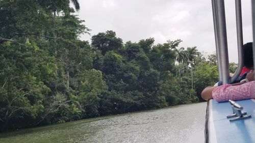 Low section of woman by plants by trees against sky