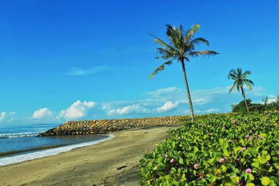 Scenic view of sea against blue sky