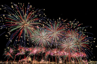 Low angle view of firework display against sky at night