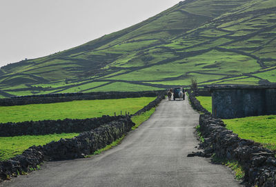 Road amidst agricultural field against sky