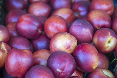 Full frame shot of apples