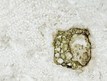 Close-up of wall