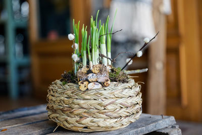 Close-up of potted plant on table