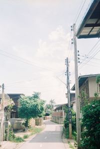Empty road along houses and trees