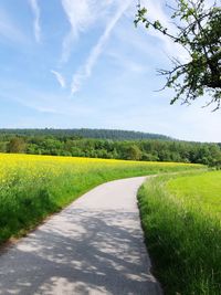 Dirt road amidst field against sky