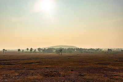 Countryside empty rural area cover with mist at morning