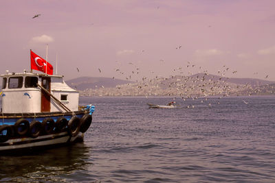 Turkish flag on boat with flock of birds flying over sea against sky