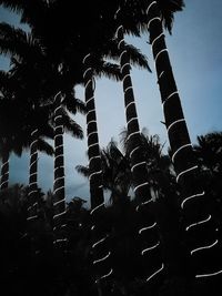 Silhouette trees against sky