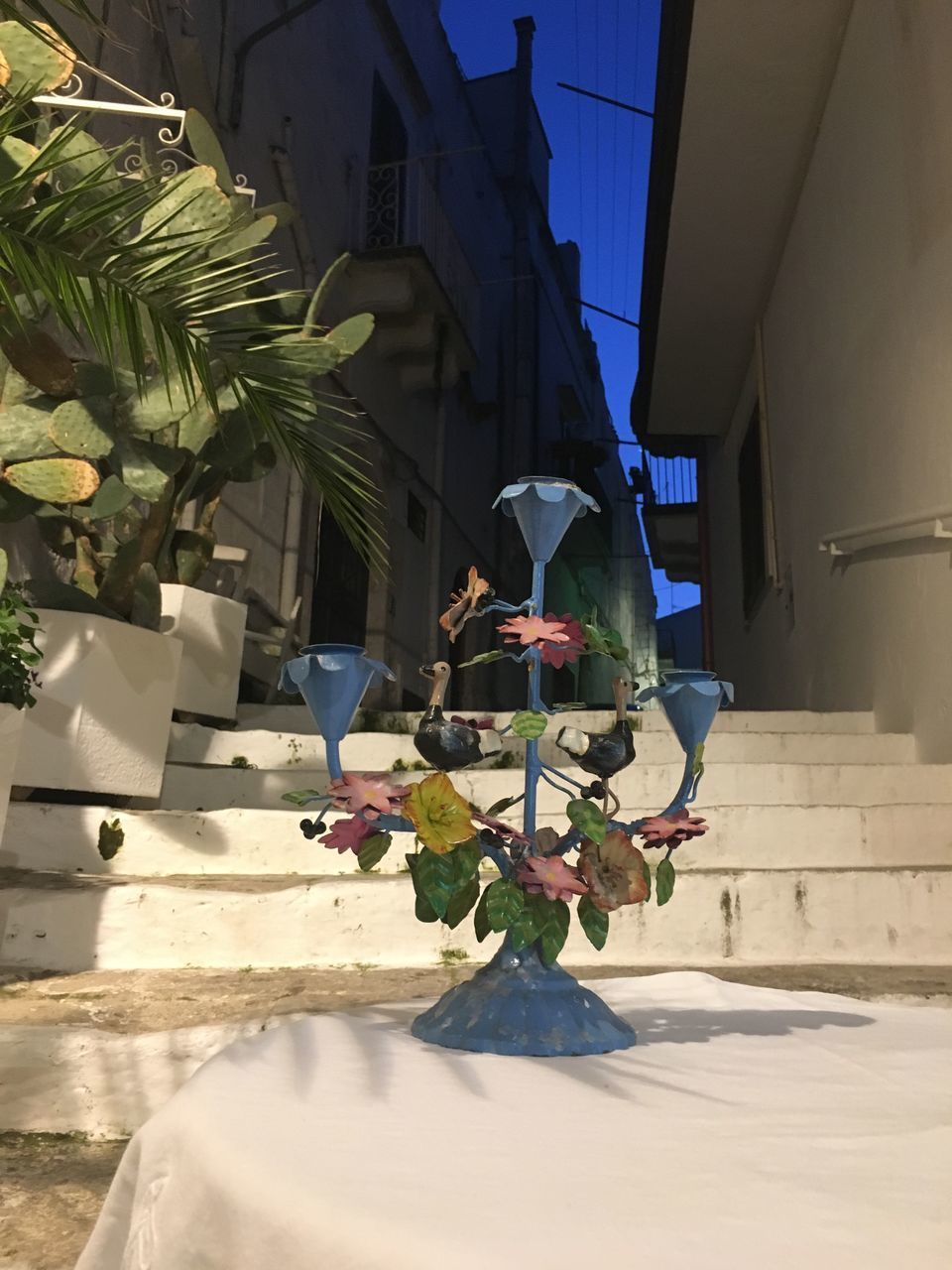 POTTED PLANTS IN BUILDING BY STREET