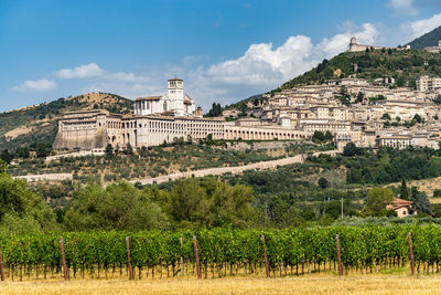 View of assisi and the basilica of saint francis of assisi complex, umbria, italy
