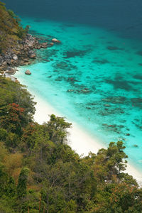 High angle view of sea and trees against sky